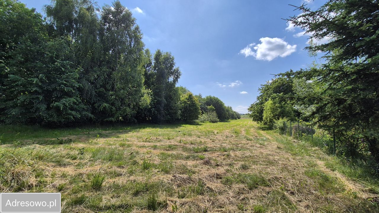 Działka rolno-budowlana Smardzowice. Zdjęcie 2