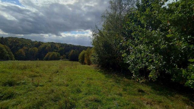 Działka Siepraw, ul. Anieli Salawy. Zdjęcie 1