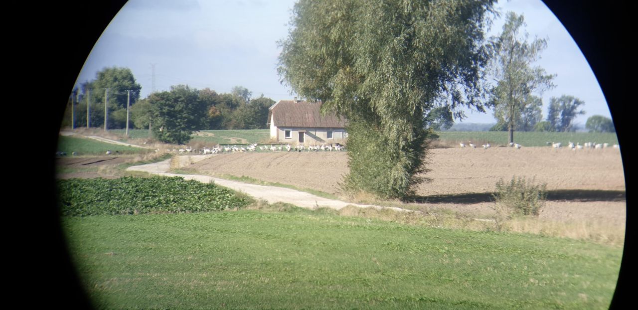 Działka budowlana Dębowo, ul. Broniewska. Zdjęcie 6