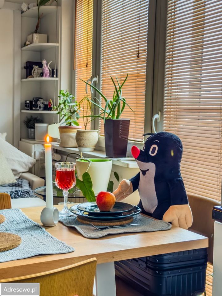 Mieszkanie 1-pokojowe Piastów, al. marsz. Józefa Piłsudskiego. Zdjęcie 11