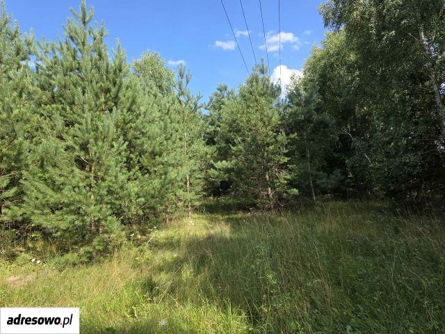 Działka budowlana Bałachy, ul. Długa. Zdjęcie 1