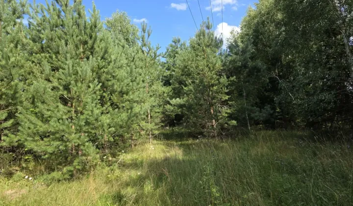 Działka budowlana Bałachy, ul. Długa