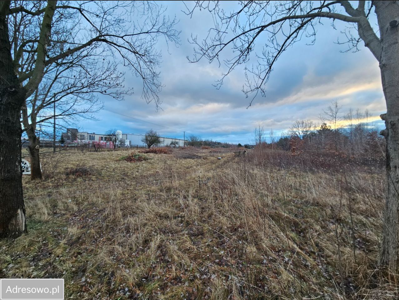 Działka budowlana Izabelin-Dziekanówek. Zdjęcie 2