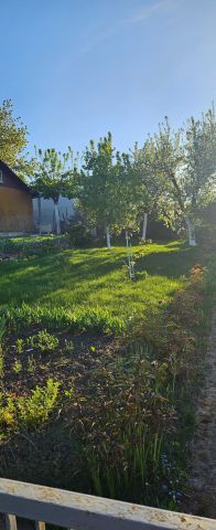 Działka rod Szczecin Gocław, ul. Południowa. Zdjęcie 1