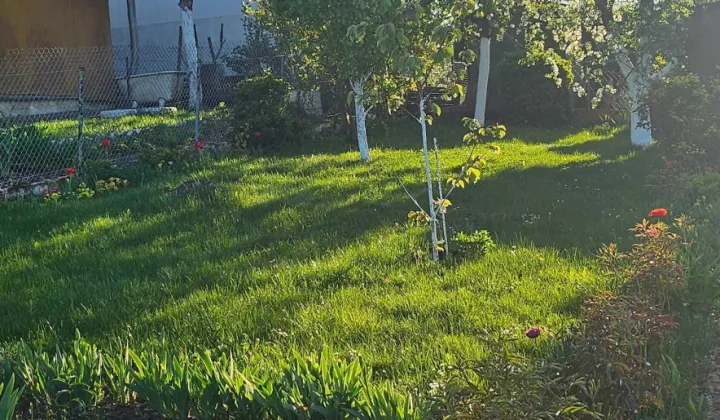 Działka rod Szczecin Gocław, ul. Południowa