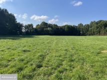 Działka rolna Orle, ul. Łąkowa. Zdjęcie 2