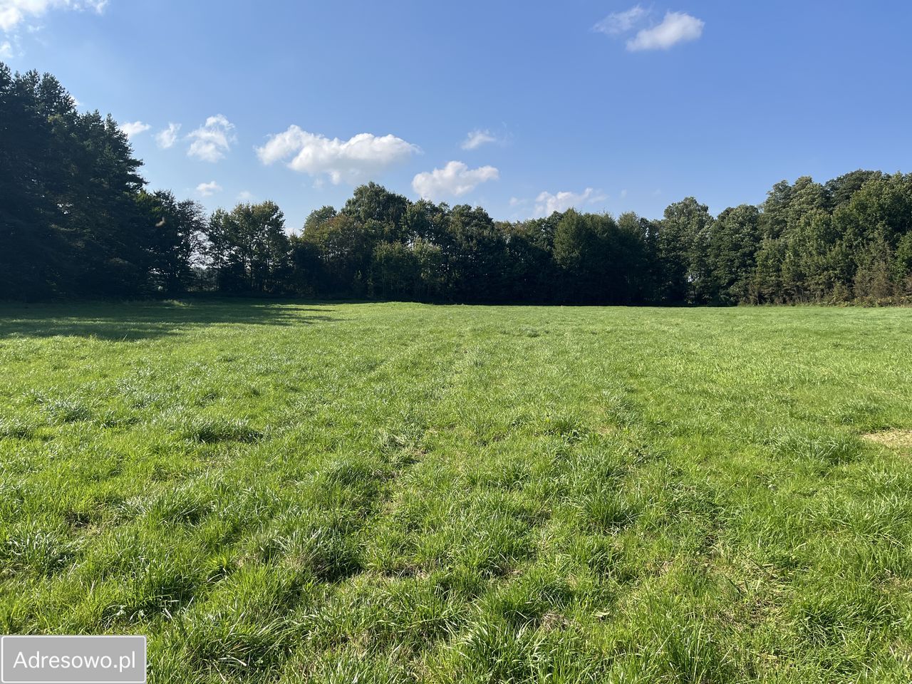Działka rolna Orle, ul. Łąkowa. Zdjęcie 3