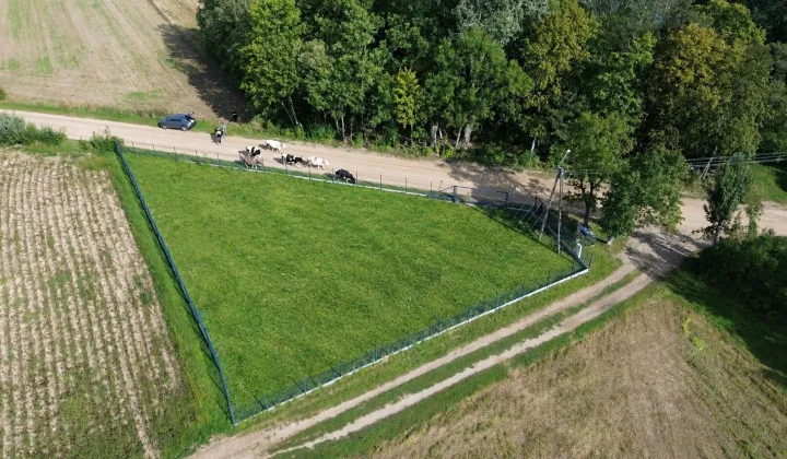 Działka budowlana Szerenosy