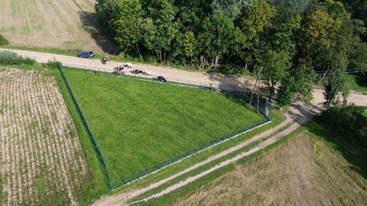 Działka budowlana Szerenosy. Zdjęcie 1