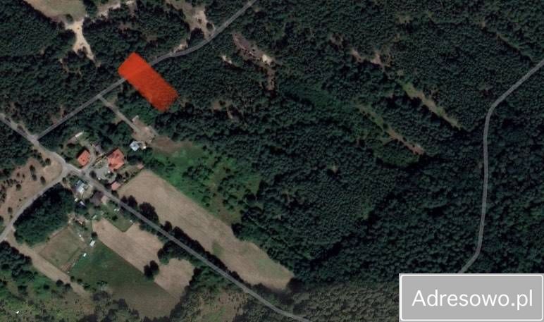 Działka leśna Nowe Polesie. Zdjęcie 6