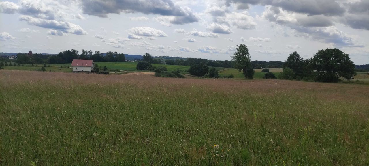 Działka budowlana Brodnica Górna. Zdjęcie 4