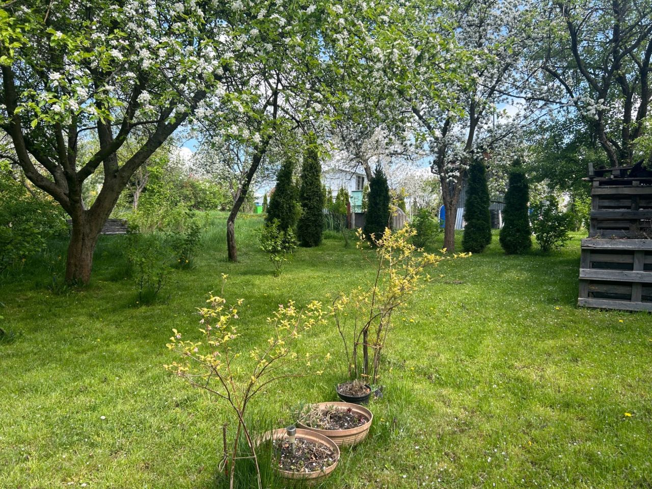 Działka rod Gorlice, ul. Błażeja i Stanisława Wrońskich. Zdjęcie 7