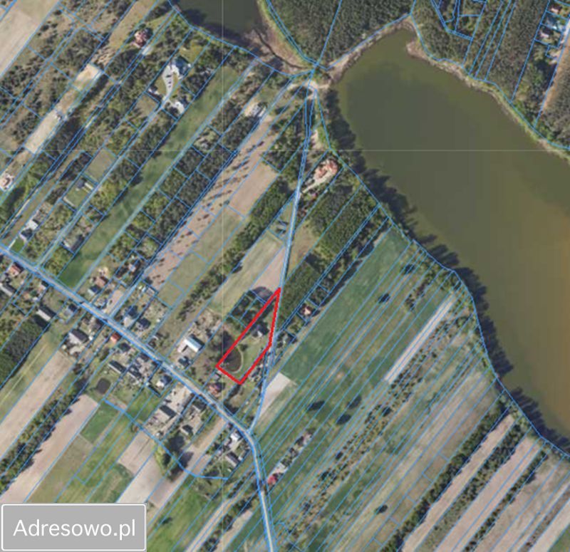 dom wolnostojący, 5 pokoi Nowe Rumunki. Zdjęcie 5