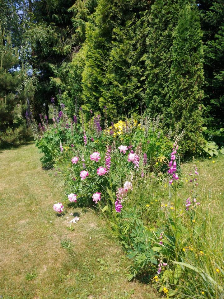 dom letniskowy Tylicz, ul. Kazimierza Pułaskiego. Zdjęcie 10