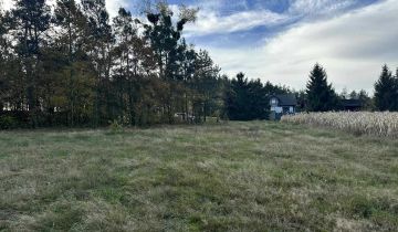 Działka budowlana Pałczew