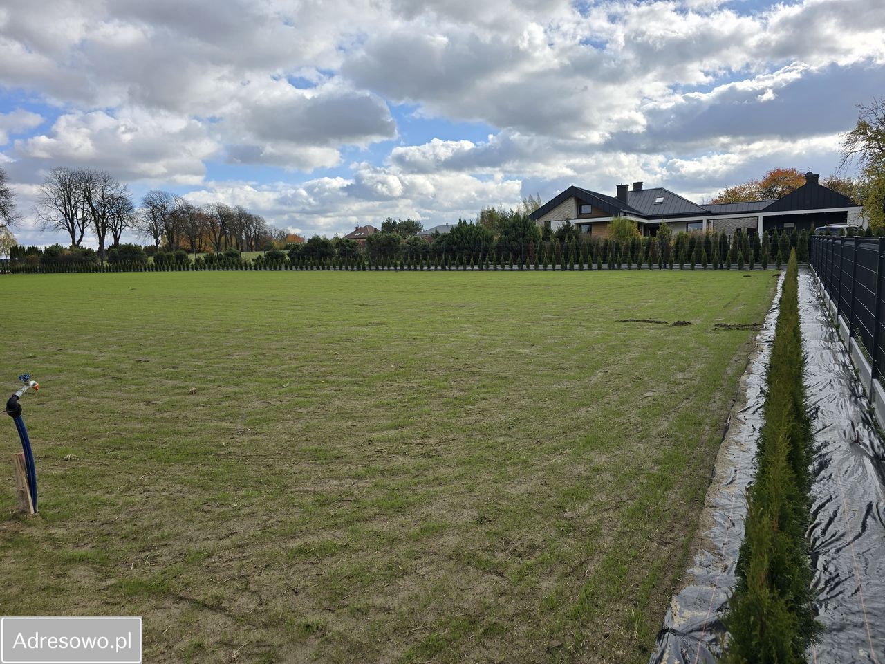 Działka Krasienin-Kolonia