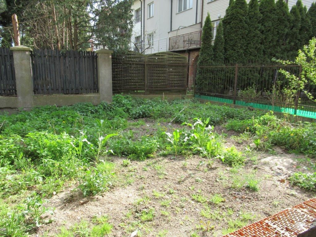 dom szeregowy, 9 pokoi Ząbki, ul. 11 Listopada. Zdjęcie 7