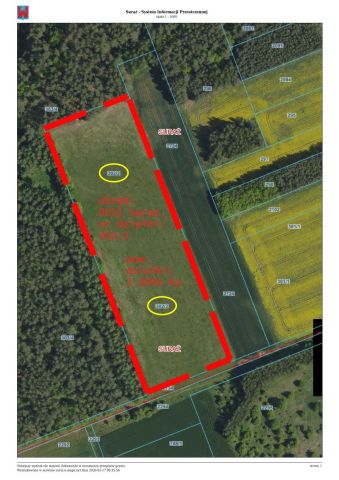Działka rolna Suraż. Zdjęcie 1