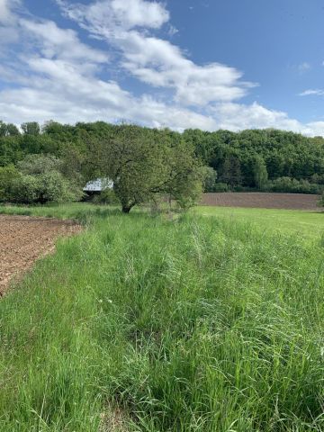 Działka budowlana Zerwana. Zdjęcie 1