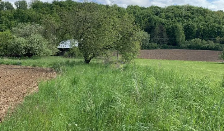 Działka budowlana Zerwana