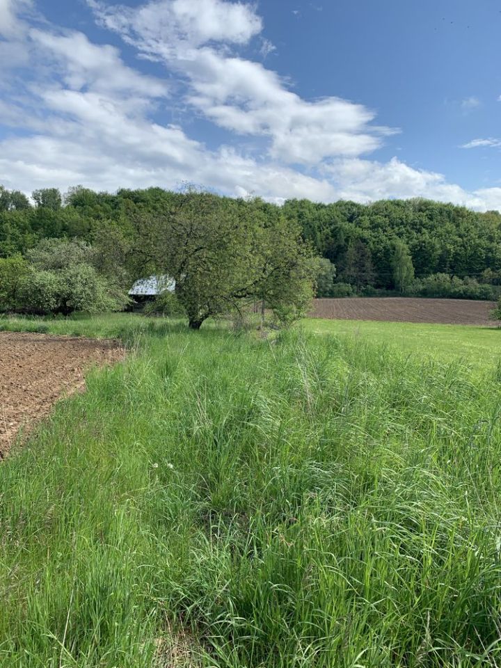 Działka budowlana Zerwana. Zdjęcie 1