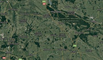 Działka rolna Niemojewo