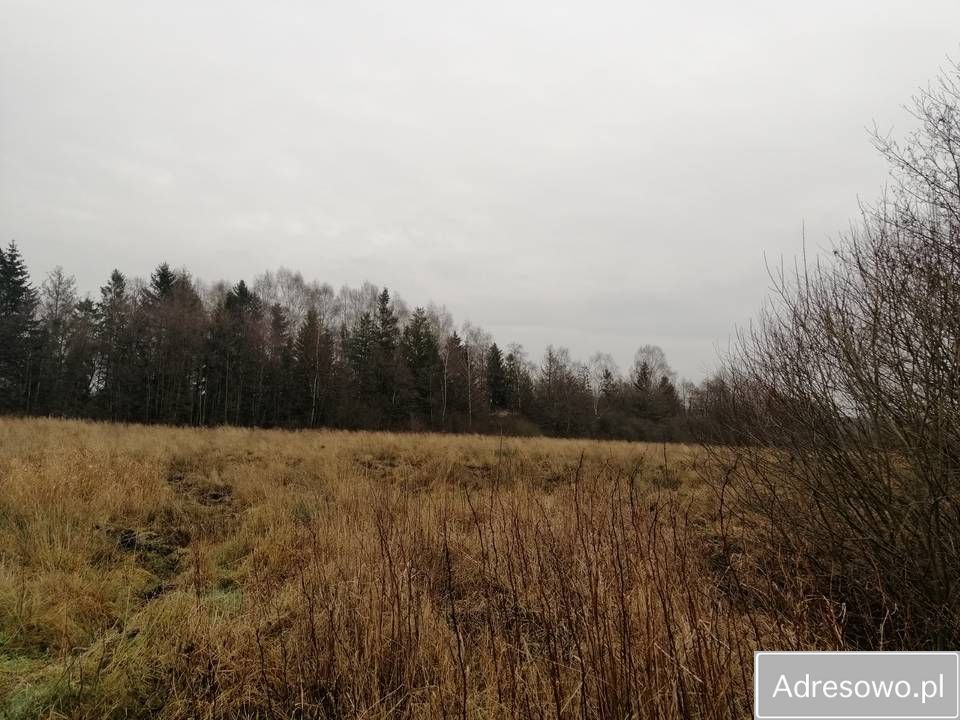 Działka rolna Sierakowo Słupskie. Zdjęcie 3