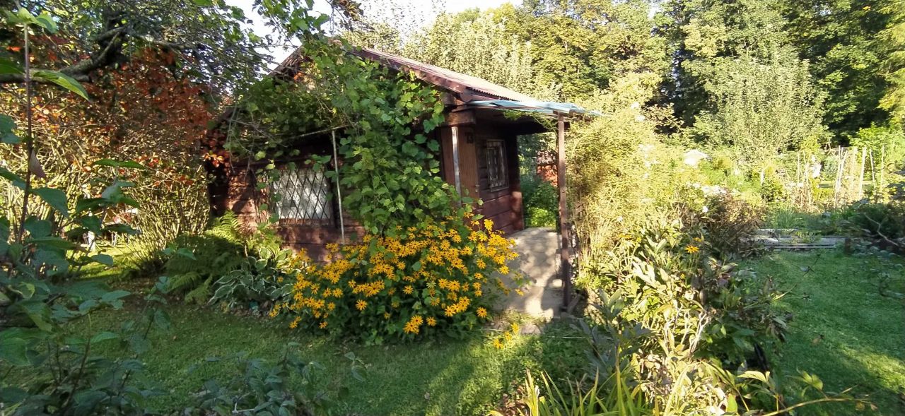 Działka rekreacyjna Nowy Sącz Falkowa. Zdjęcie 1