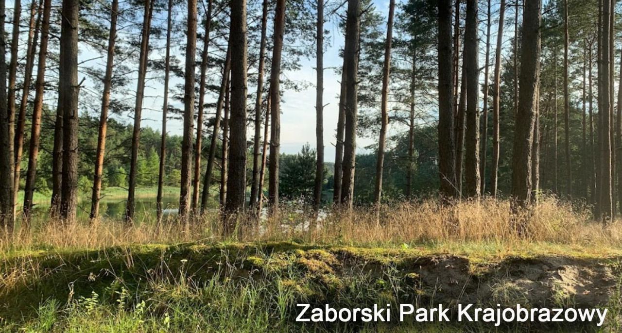 Działka rolna Kiełpin. Zdjęcie 8