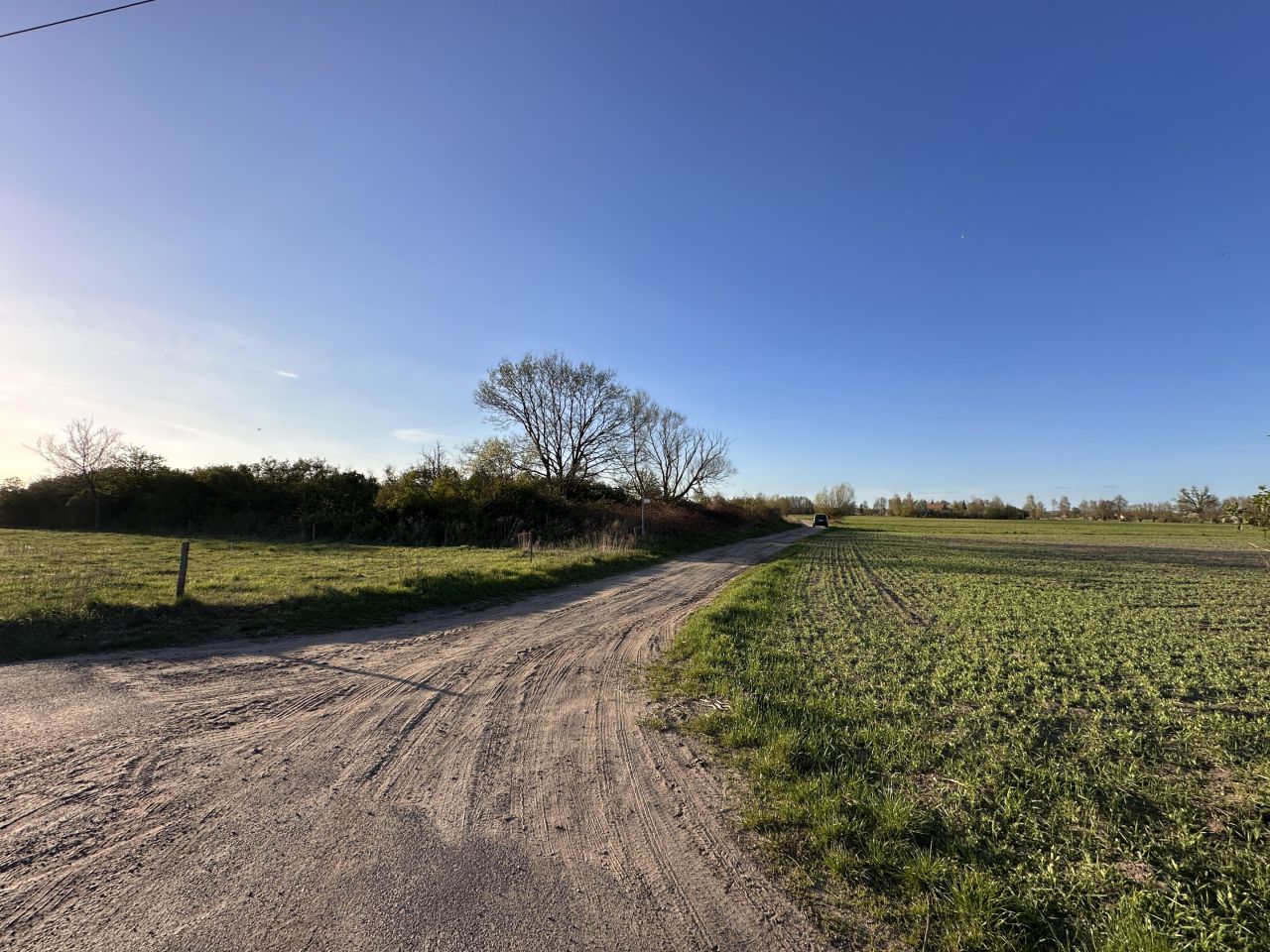 Działka budowlana Gościmiec. Zdjęcie 9