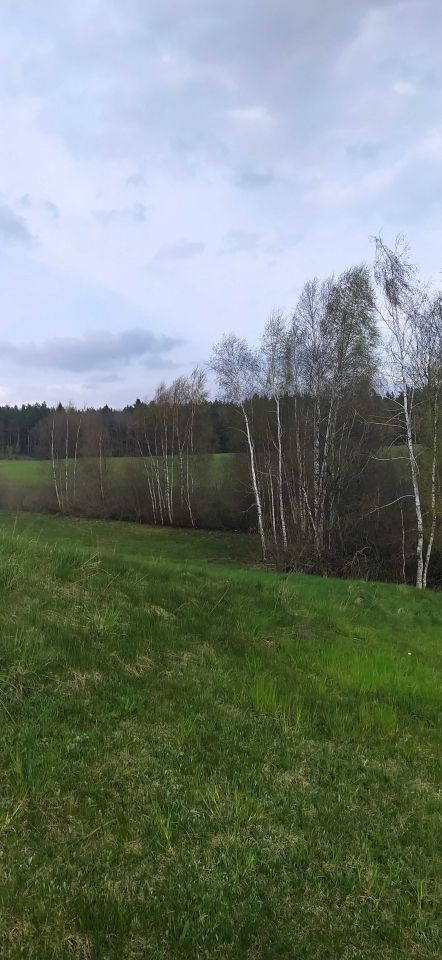 Działka Grauże Nowe. Zdjęcie 3