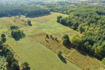 Działka inwestycyjna Stara Wieś, ul. Borsucza. Zdjęcie 3