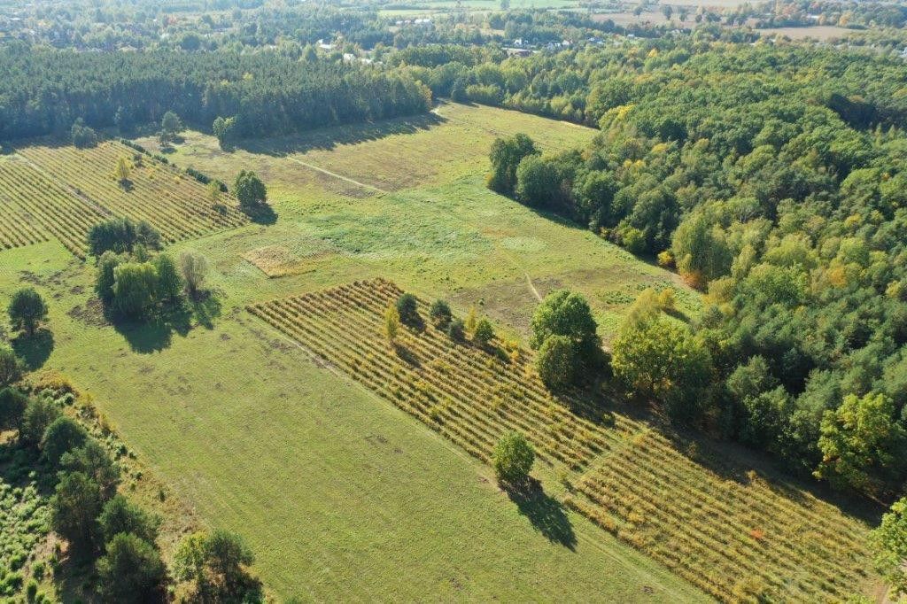 Działka inwestycyjna Stara Wieś, ul. Borsucza. Zdjęcie 4