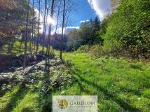 Działka Kobysewo, ul. Klasztorna. Zdjęcie 4