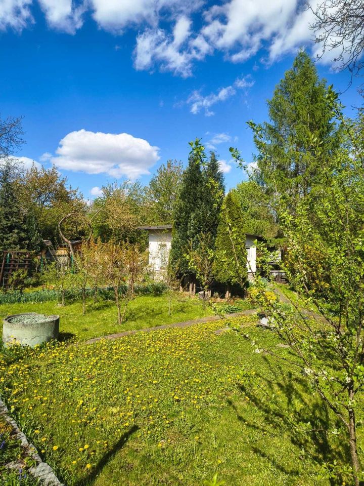 Działka rod Gliwice Śródmieście. Zdjęcie 6