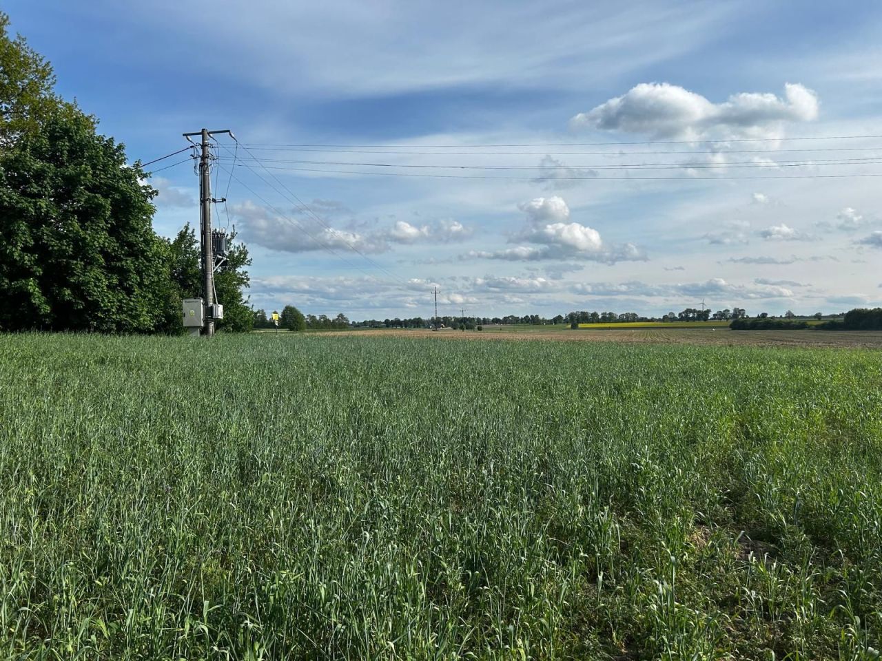 Działka budowlana Zabłocie. Zdjęcie 5