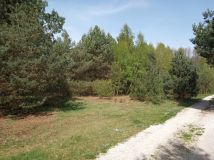 Działka budowlana Zwierzyniec. Zdjęcie 3