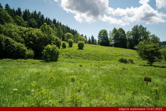 Działka budowlana Orłowiec. Zdjęcie 1