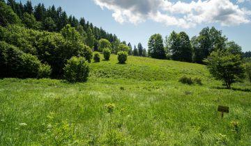 Działka budowlana Orłowiec