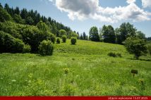 Działka budowlana Orłowiec