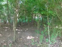 Działka rolna Wieprz. Zdjęcie 3