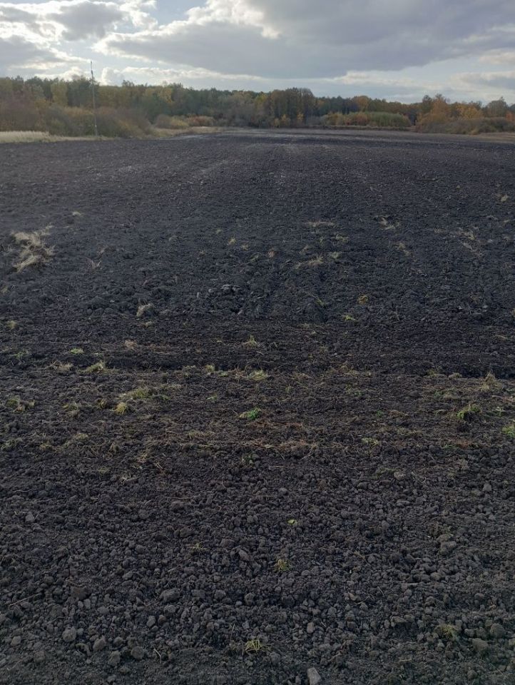 Działka rolna Niewirków. Zdjęcie 4