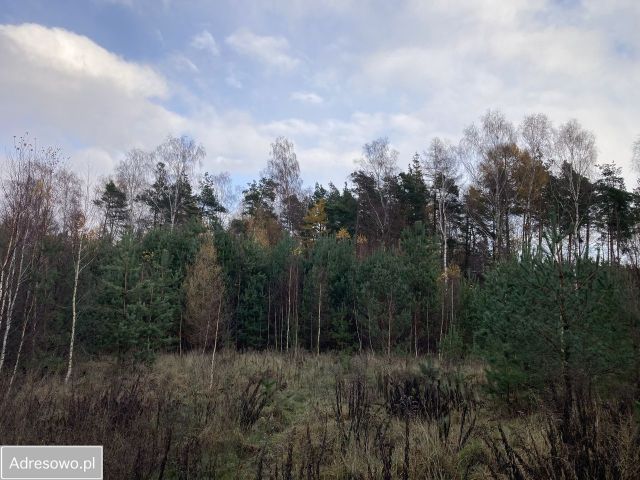 Działka budowlana Banino, ul. Bursztynowa. Zdjęcie 1