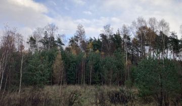 Działka budowlana Banino, ul. Bursztynowa