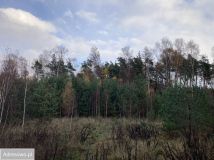 Działka budowlana Banino, ul. Bursztynowa