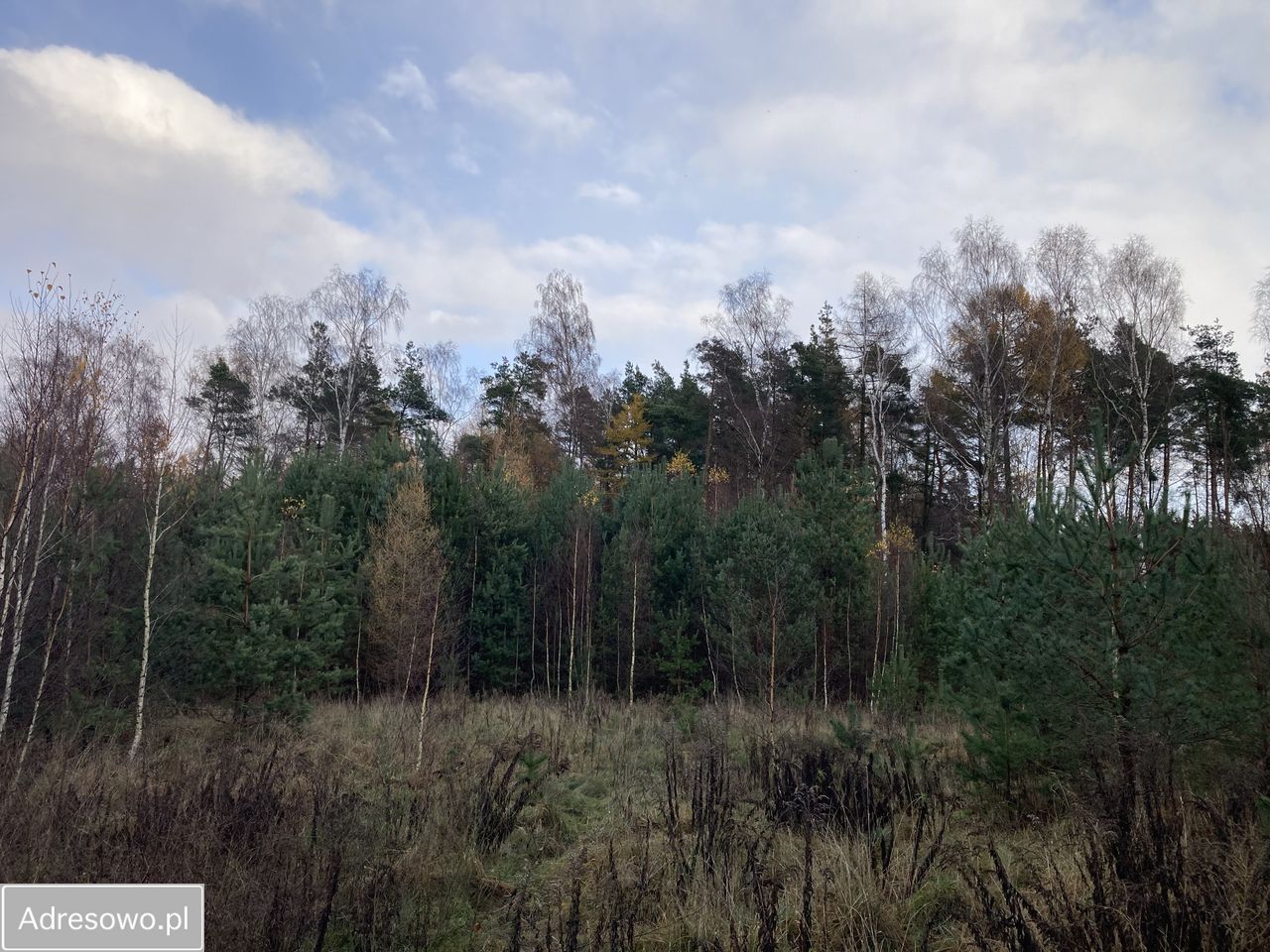 Działka budowlana Banino, ul. Bursztynowa