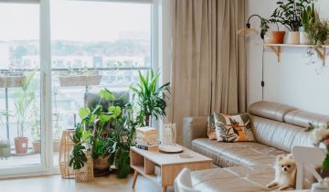 Mieszkanie 3-pokojowe Płock Podolszyce, ul. Żyzna