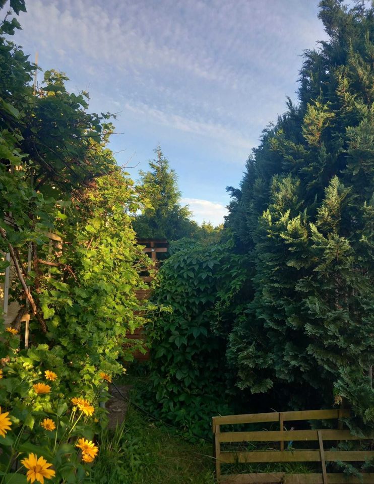 Działka rod Bydgoszcz, ul. Łochowska. Zdjęcie 7