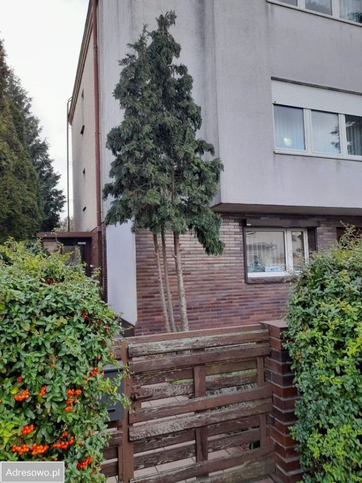 dom wolnostojący, 6 pokoi Wrocław Ołtaszyn, ul. Obrońców Poczty Gdańskiej. Zdjęcie 2