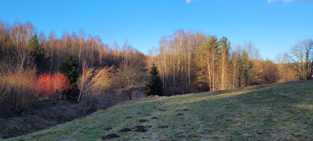 Działka rolno-budowlana Michalin, ul. Koronki. Zdjęcie 1